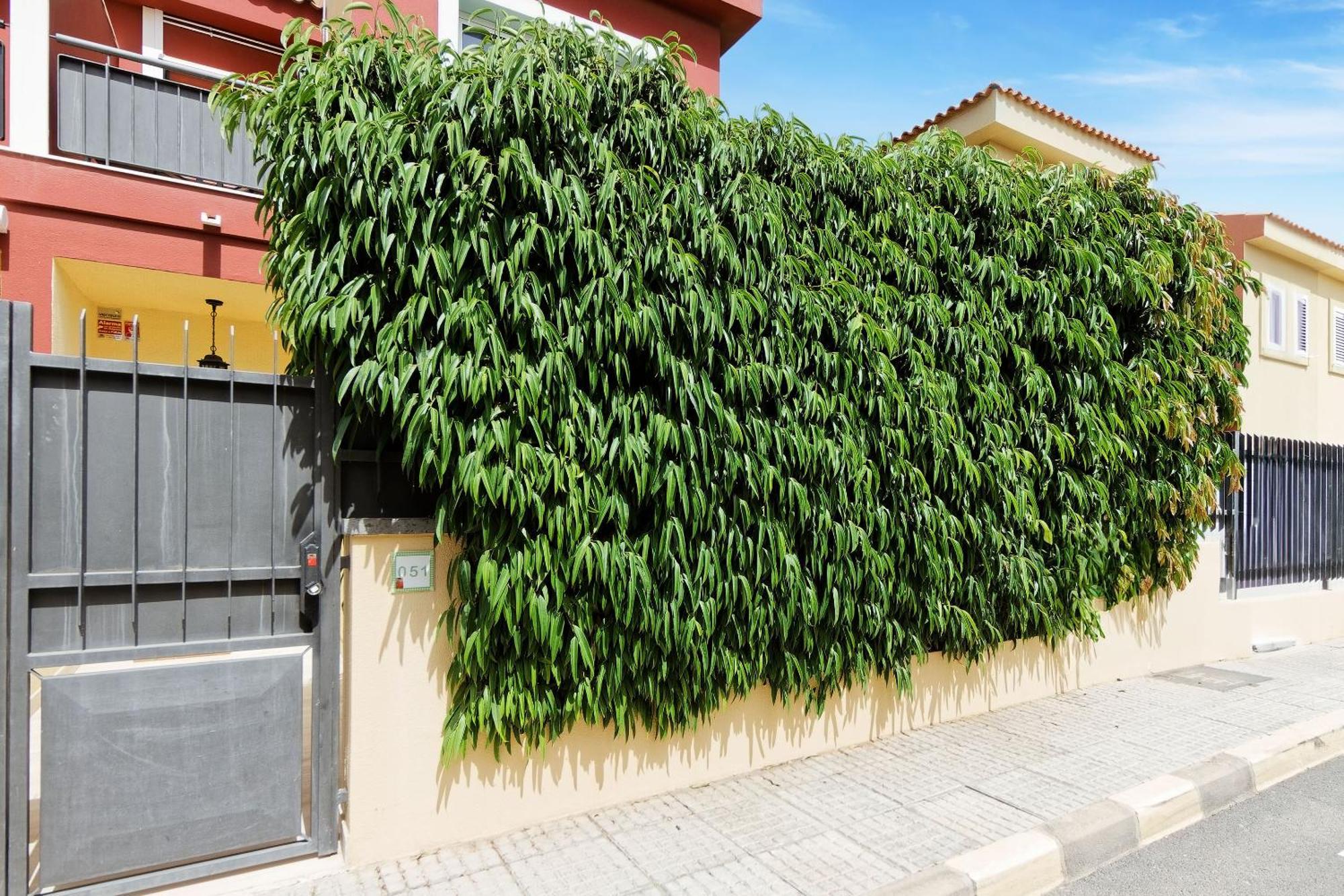 Villa Anil Meloneras San Bartolomé 외부 사진